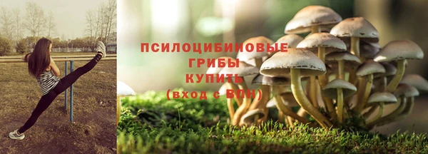 мяу мяу мука Пересвет