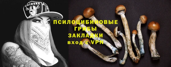 мяу мяу мука Пересвет