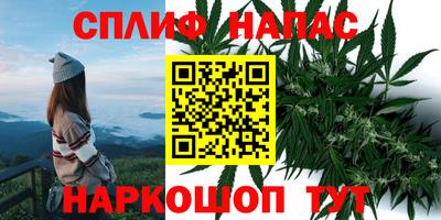 гидропоника Бугуруслан