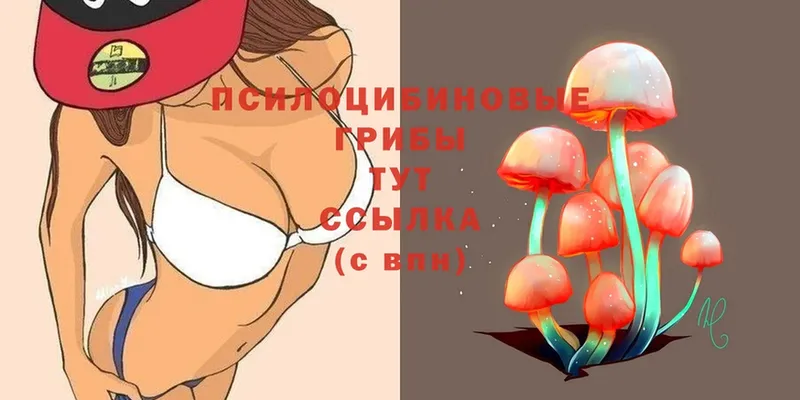 Галлюциногенные грибы Magic Shrooms  OMG   Коммунар 