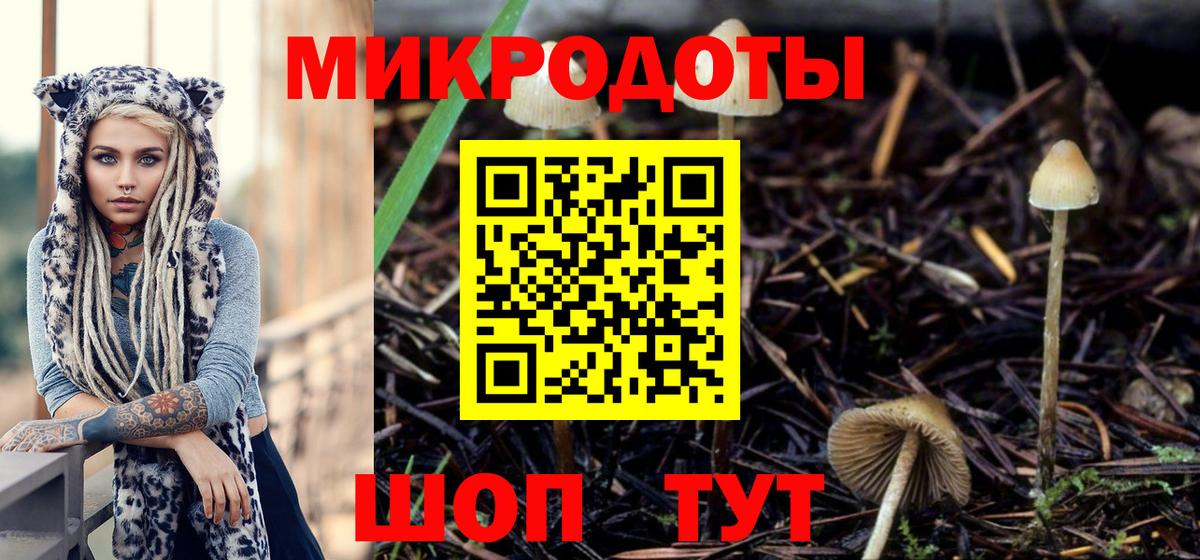 Псилоцибиновые грибы мухоморы  Коммунар 